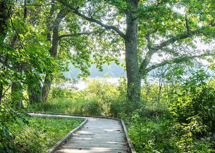 Chic Sauna Near The Sea - Kohin Nº02 *